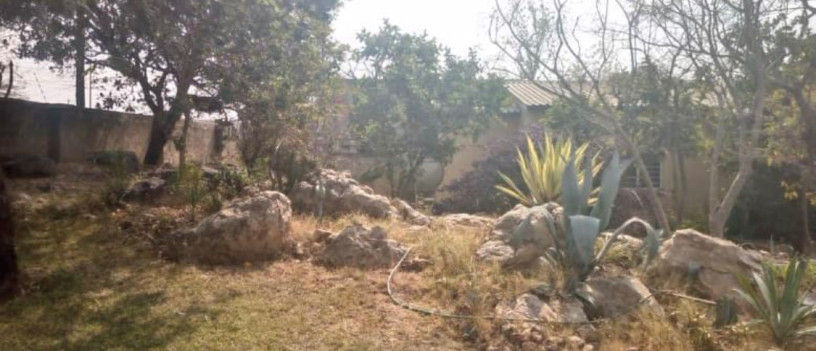 3-bedroom-flats-for-sale-in-ibex-hill-big-3