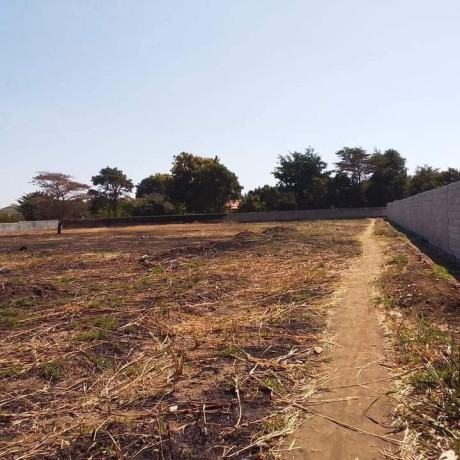 60-acres-farm-land-for-sale-in-kacheta-big-6