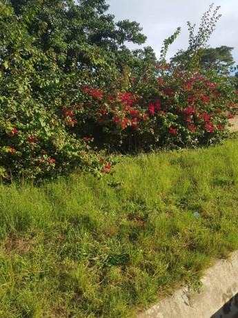 plots-for-sale-in-ibex-hill-road-frontage-big-2