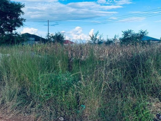30m-by-20m-plot-for-sale-in-meanwood-ndeke