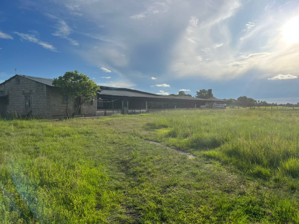 prime-plot-for-sale-in-makeni-big-0