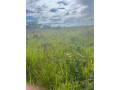 65x54-plot-for-sale-in-new-kasama-small-4