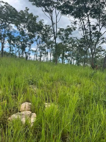 65x54-plot-for-sale-in-new-kasama-big-5