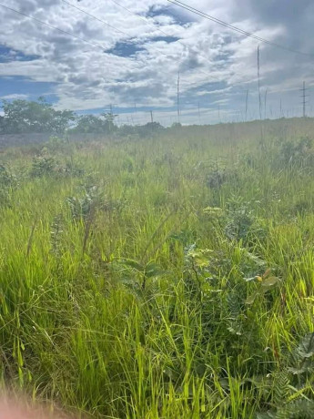 65x54-plot-for-sale-in-new-kasama-big-4