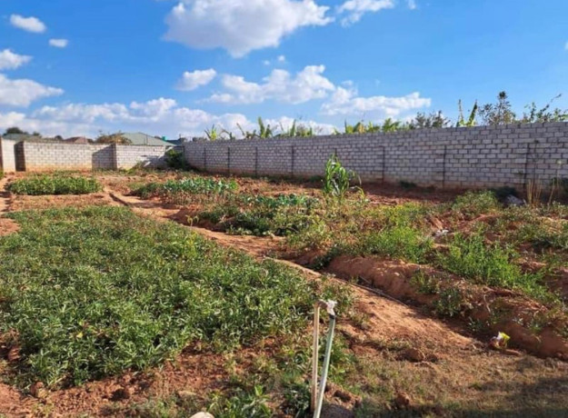 3-bedroom-house-for-rent-in-kabangwe-big-5