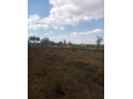 plot-for-sale-in-meanwood-chamba-valley-small-0