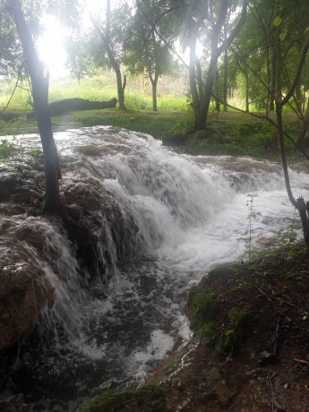 farm-house-for-sale-in-lusaka-west-big-1