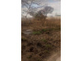 plots-for-sale-in-lusaka-west-small-2