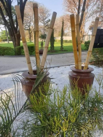 4-bedroom-house-for-rent-in-lusaka-west-big-6