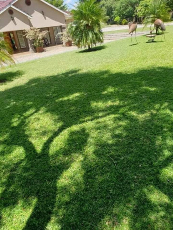 4-bedroom-house-for-rent-in-lusaka-west-big-7