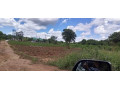 5-acre-land-for-sale-in-lusaka-west-small-1