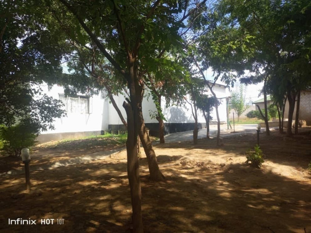 3-bedroom-house-for-sale-in-zanimuone-west-big-6