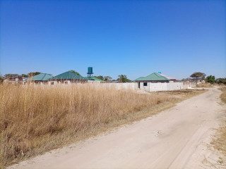 plot-for-sale-in-silverest