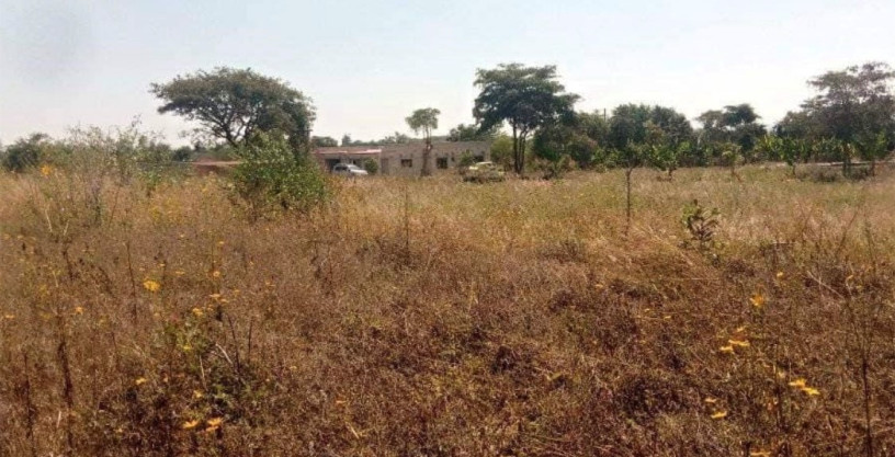 land-for-sale-in-silverest-big-0