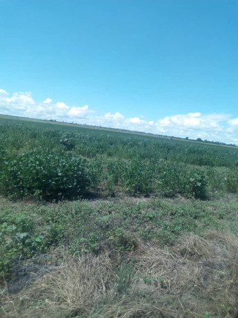 10-acres-land-for-sale-along-mumbwa-road-big-2