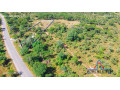 1-acre-road-front-plot-for-sale-in-palabana-small-0