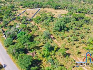 1-acre-road-front-plot-for-sale-in-palabana