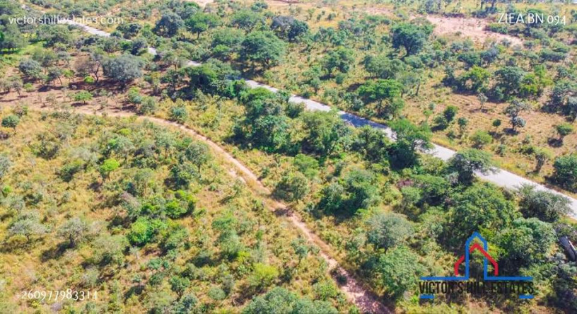 1-acre-road-front-plot-for-sale-in-palabana-big-3