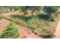 1-acre-plot-for-sale-in-makeni-small-4