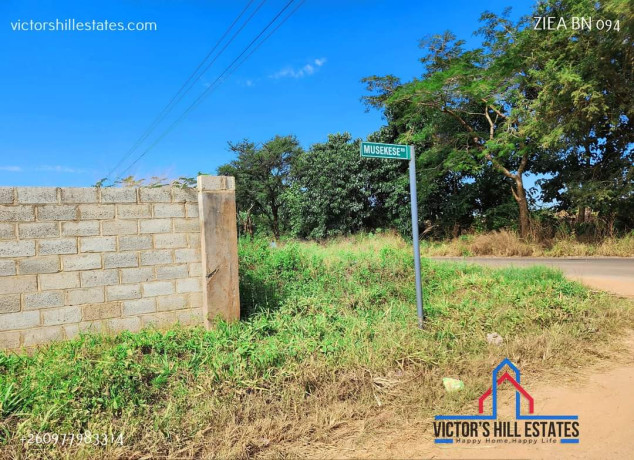 1-acre-plot-for-sale-in-makeni-big-2