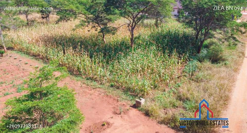 1-acre-plot-for-sale-in-makeni-big-4