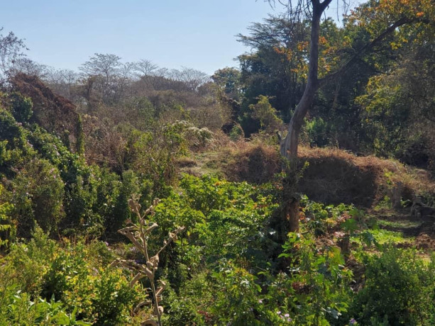 56-acres-land-for-sale-in-kasupe-big-7
