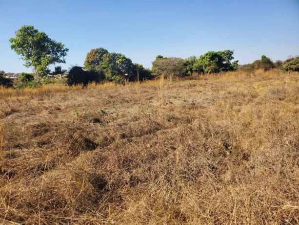 56-acres-land-for-sale-in-kasupe-big-6