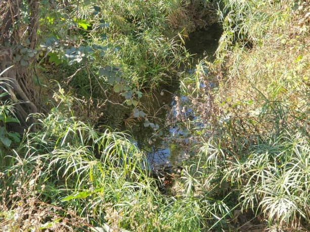 56-acres-land-for-sale-in-kasupe-big-2