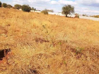 residential-plot-for-sale-in-ibex-main