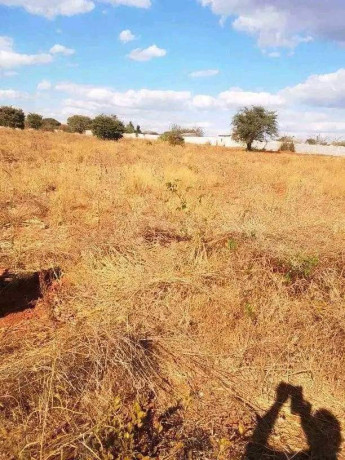 residential-plot-for-sale-in-ibex-main-big-4