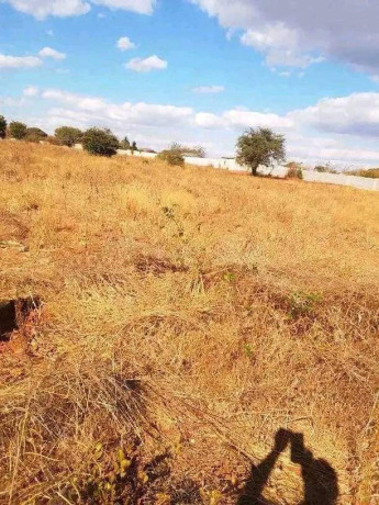 residential-plot-for-sale-in-ibex-main-big-2