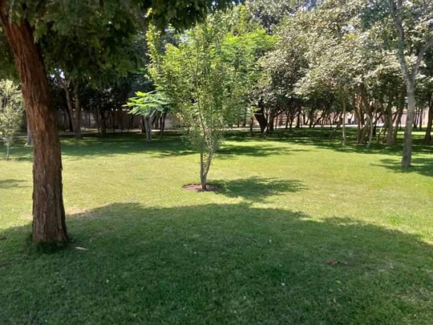 3-bedroom-apartment-for-rent-in-eureka-park-big-7