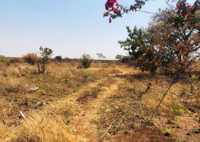 5-acre-land-for-sale-in-makeni-big-4