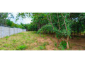 two-1000sqm-plots-for-sale-in-meanwood-ibex-small-4