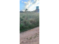 30m-x-20m-land-for-sale-in-meanwood-ibex-small-2