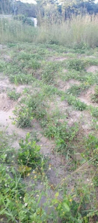 30m-x-20m-land-for-sale-in-meanwood-ibex-big-0