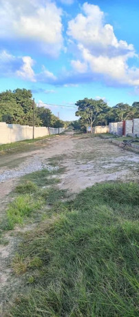 30m-x-20m-land-for-sale-in-meanwood-ibex-big-3