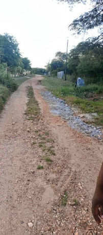 30m-x-20m-land-for-sale-in-meanwood-ibex-big-4