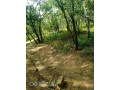 mkushi-land-for-sale-small-3