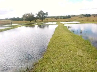 mkushi-land-for-sale