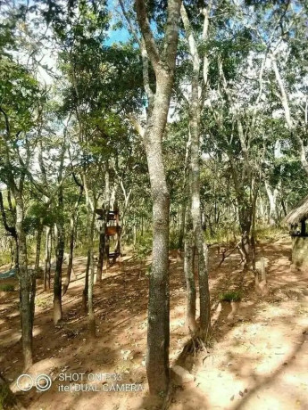 mkushi-land-for-sale-big-5