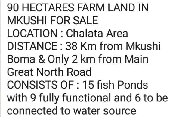 mkushi-land-for-sale-big-1