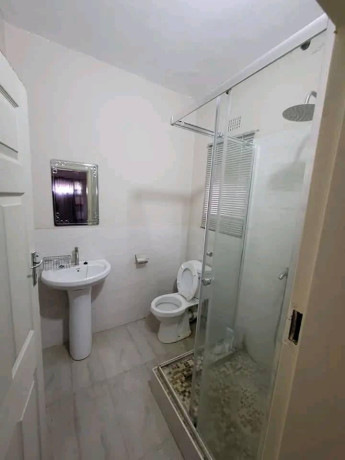 4-bedroom-house-for-rent-in-salama-park-big-4