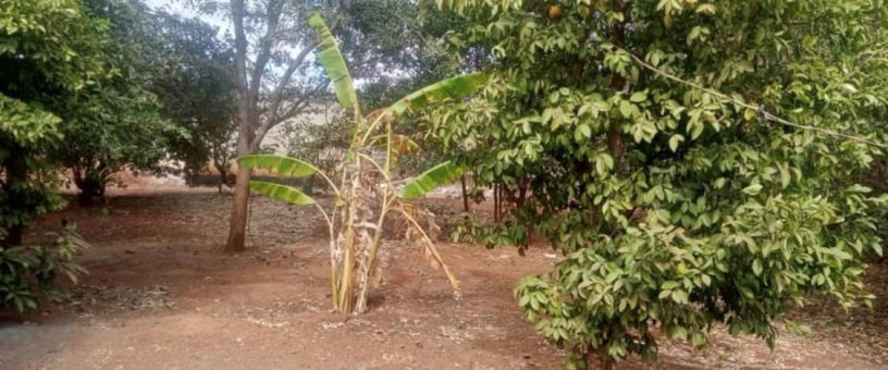 3-bedroom-house-for-sale-in-woodlands-big-1