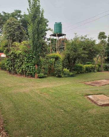 3-bedroom-house-for-rent-in-woodlands-big-3