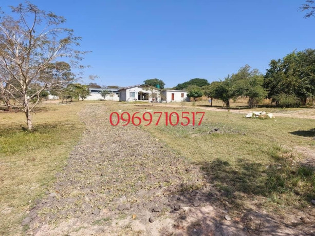 4-bedroom-double-storey-house-in-state-lodge-with-road-frontage-big-4