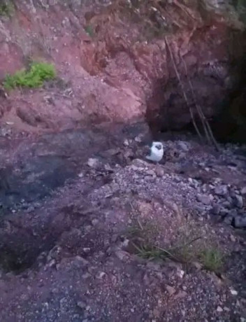 rich-mineral-land-for-sale-or-joint-venture-in-kasempa-zambia-big-5