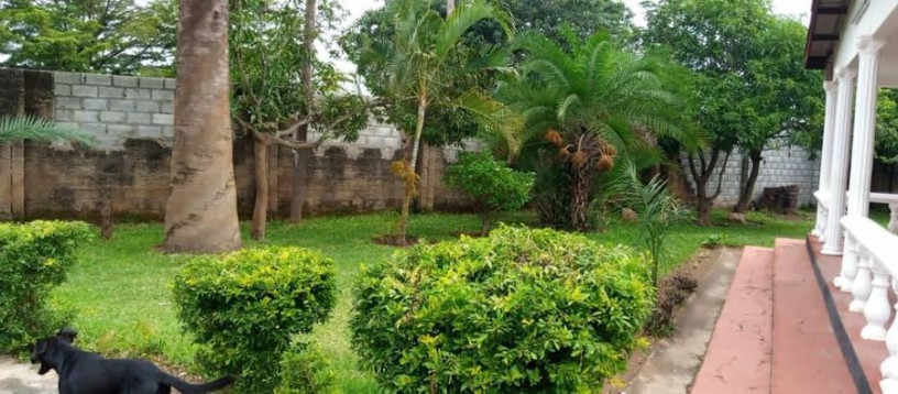 2-bedroom-flat-with-tiles-ceilings-geyser-and-borehole-big-2