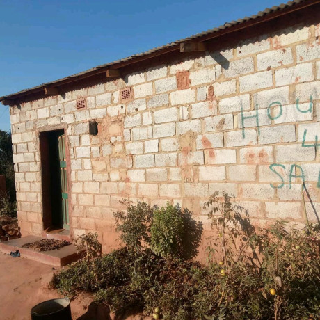 beautiful-property-on-minestone-road-great-north-big-3