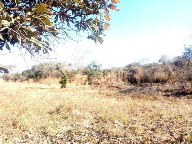 residential-plot-for-sale-in-chilanga-big-1